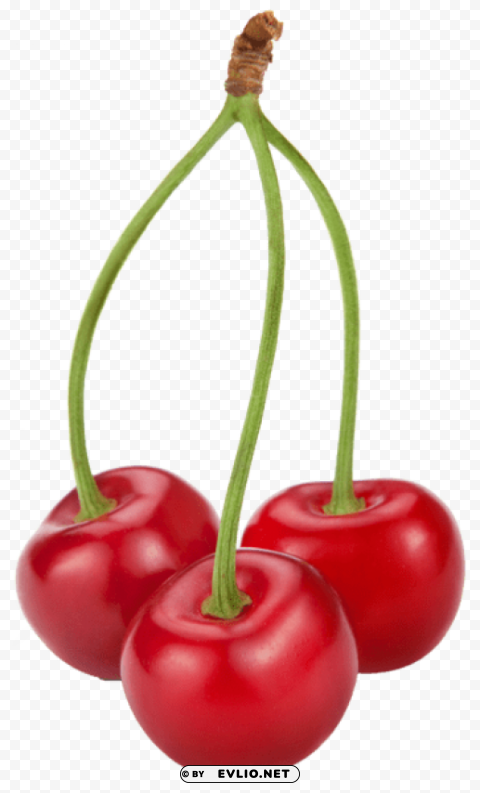 cherries PNG with Isolated Object and Transparency