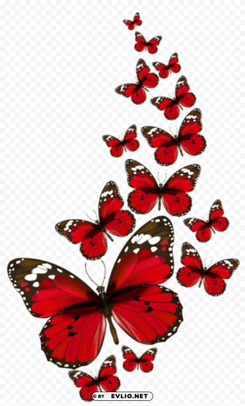 red butterflies vector ClearCut Background PNG Isolation