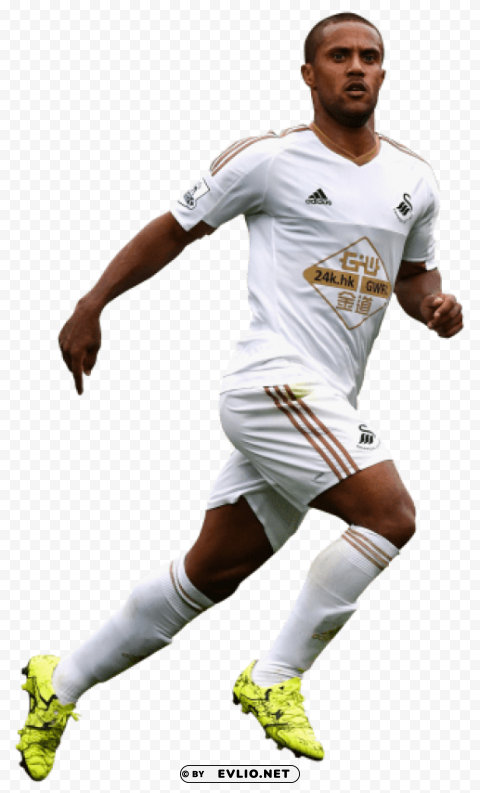 wayne routledge PNG images with high transparency
