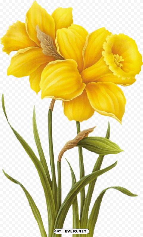 yellow flower drawing PNG for online use PNG transparent with Clear Background ID 51c733fe