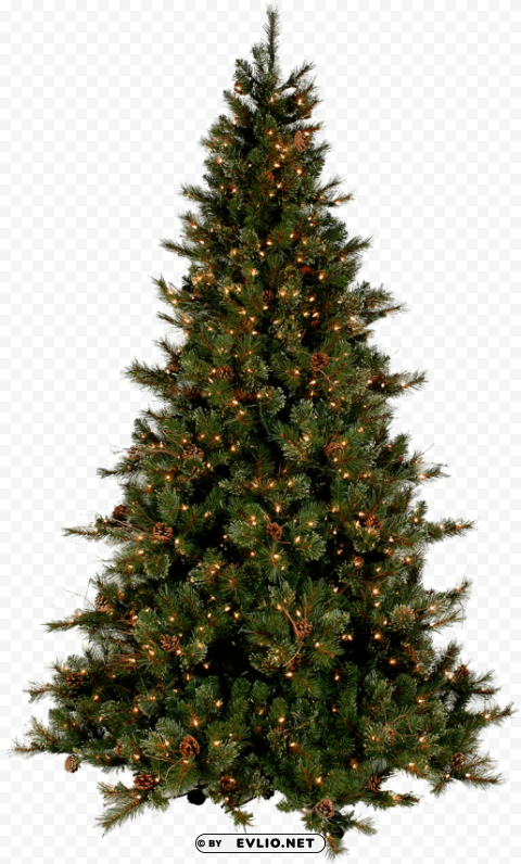Christmas Tre Isolated Subject In Transparent PNG