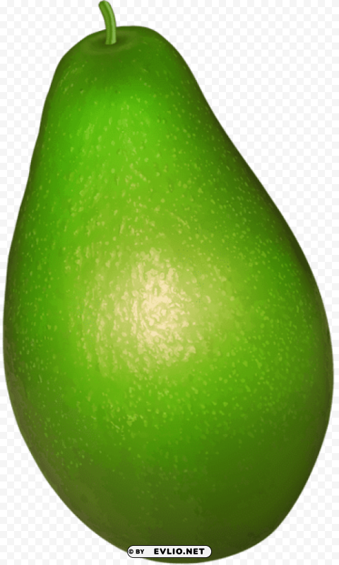 avocado Transparent PNG graphics library