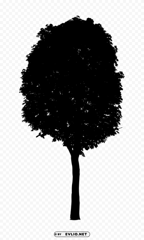 Black Tree PNG graphics with alpha transparency bundle