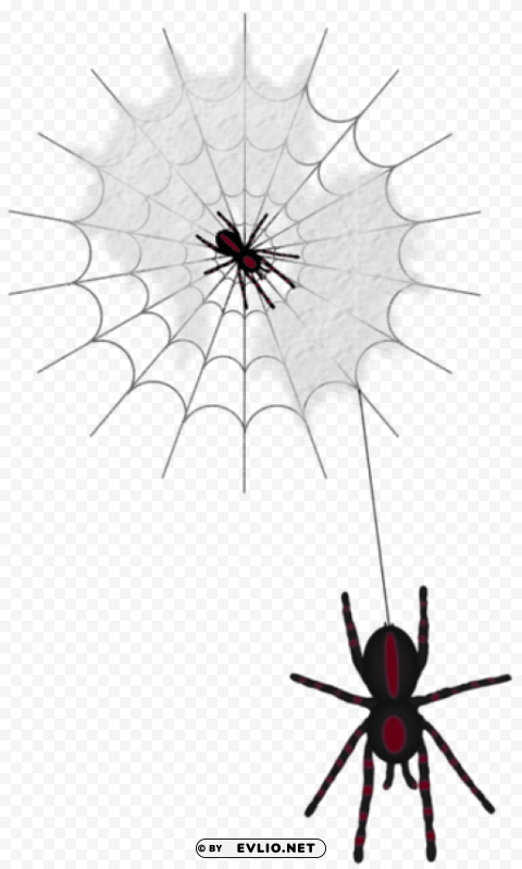 Halloween Web With Spiders PNG With No Bg