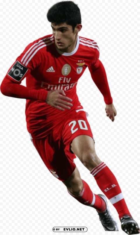 Gonçalo Guedes Free Download PNG With Alpha Channel