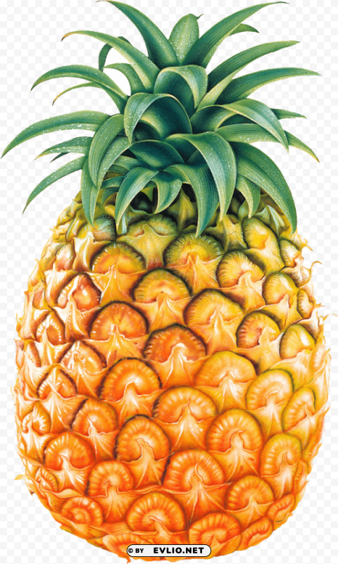 pineapple Isolated Illustration with Clear Background PNG PNG images with transparent backgrounds - Image ID 4a70b976