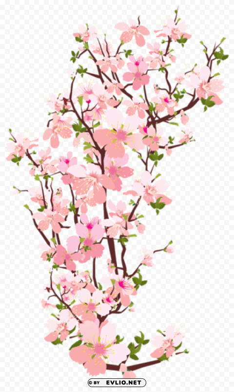 spring tree branch PNG graphics with transparent backdrop