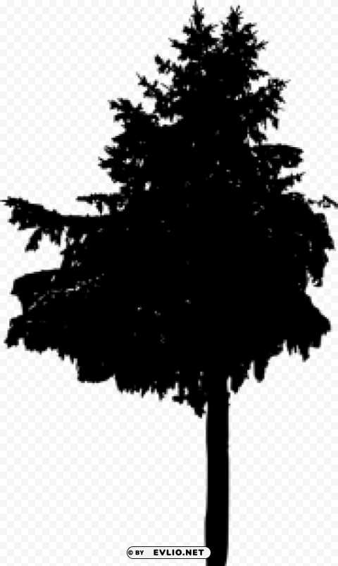 Pine Tree Silhouette PNG with clear transparency