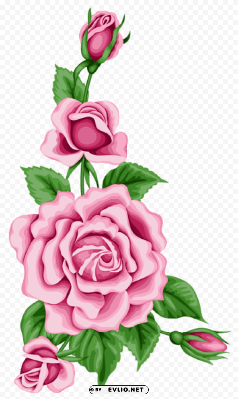 roses decoration Transparent Background PNG Isolated Design