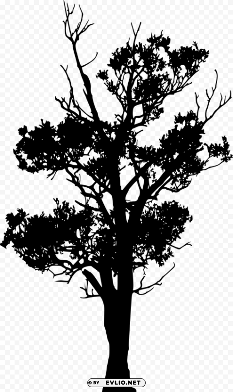 tree silhouette Isolated Subject on Clear Background PNG