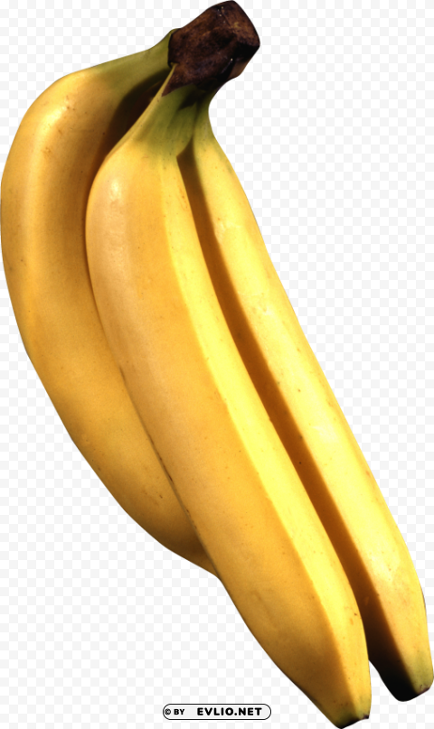 banana Transparent Background PNG Isolated Design