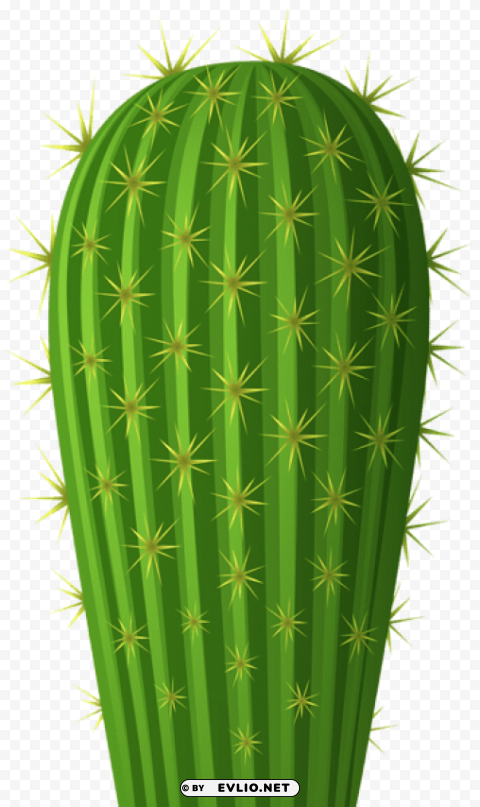 cactus Isolated Subject on Clear Background PNG