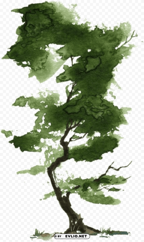 watercolor tree PNG no background free
