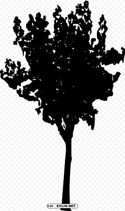 tree silhouette PNG cutout