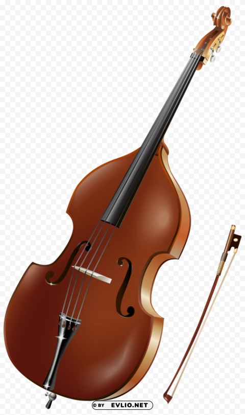 double bass Transparent PNG Isolated Element