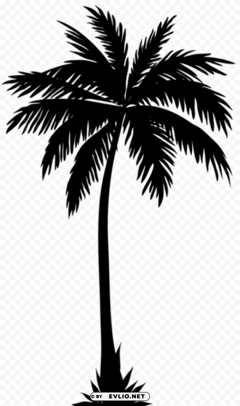 palm tree silhouette PNG images with alpha channel selection