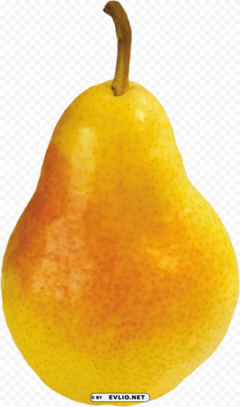 pear Isolated Illustration on Transparent PNG PNG images with transparent backgrounds - Image ID 25489676