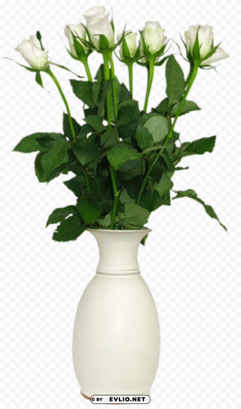  white rose in vase picture Isolated Icon on Transparent PNG