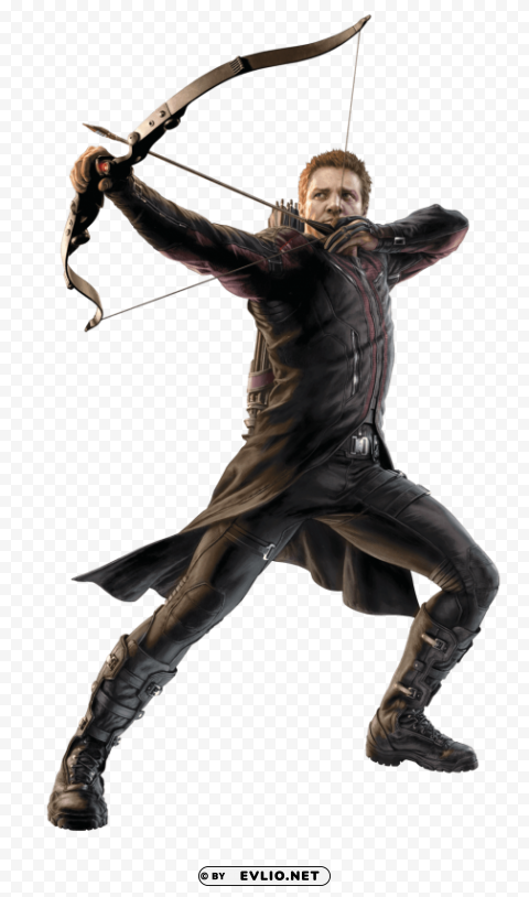 hawkeye to left PNG Graphic with Clear Background Isolation