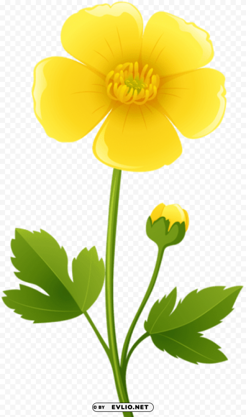 Yellow Flower Transparent PNG Graphic Isolated On Clear Background Detail