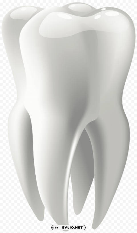 molar PNG with isolated background