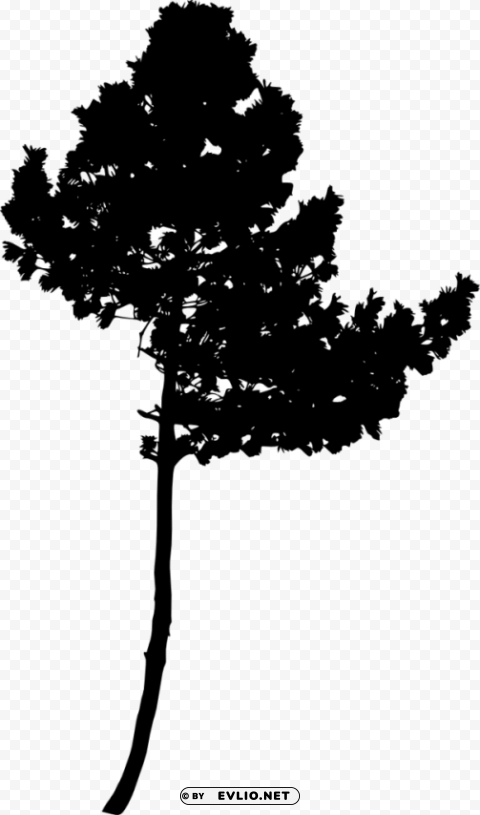 Transparent Tree Silhouette Transparent image PNG Image - ID 3bac153e