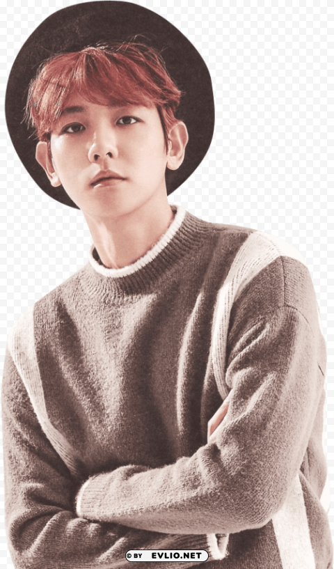 exo season's greetings 2017 baekhyun Transparent PNG Object with Isolation