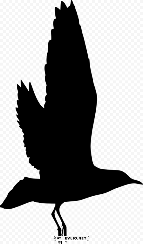 bird silhouette PNG Image Isolated on Transparent Backdrop
