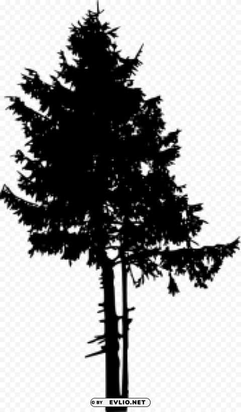 Pine Tree Silhouette PNG transparent photos massive collection