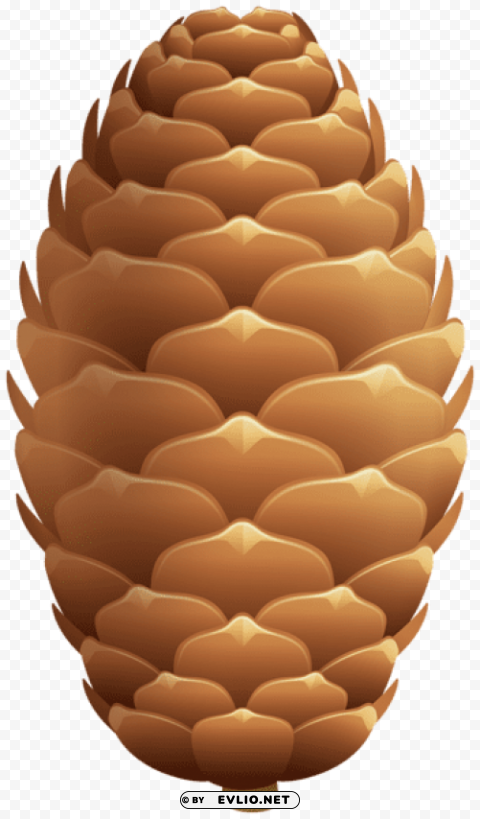 pinecone High-resolution PNG images with transparency