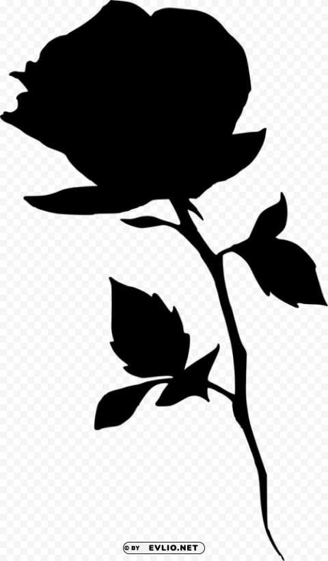 rose silhouette Isolated PNG on Transparent Background