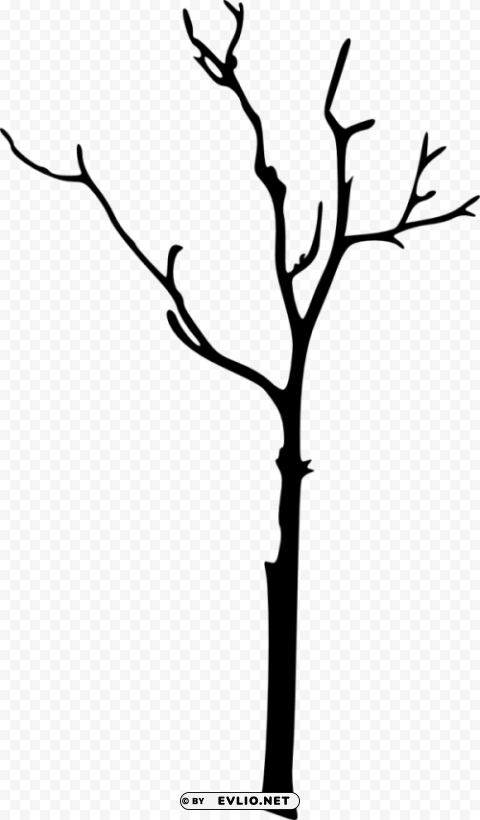 bare tree silhouette Isolated Design Element in HighQuality Transparent PNG