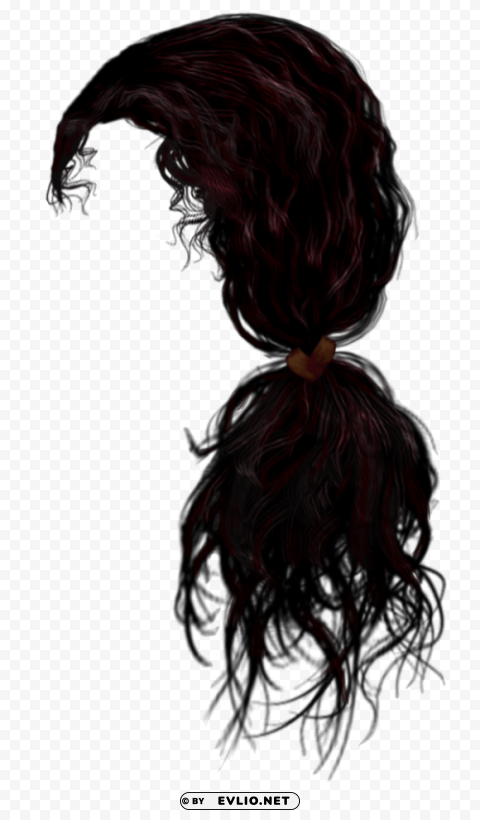 hair HighQuality Transparent PNG Isolated Object