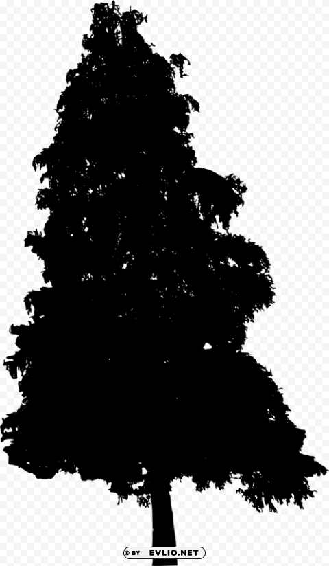 pine tree silhouette Isolated Character on Transparent PNG