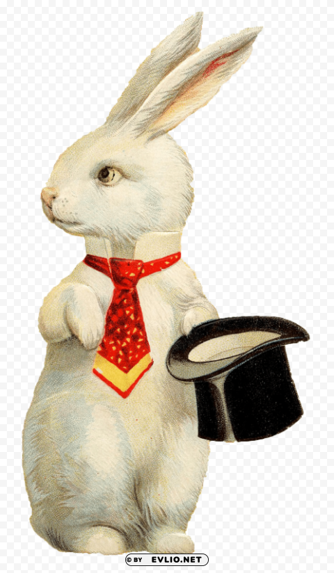 rabbit hat image Transparent Background PNG Isolated Element