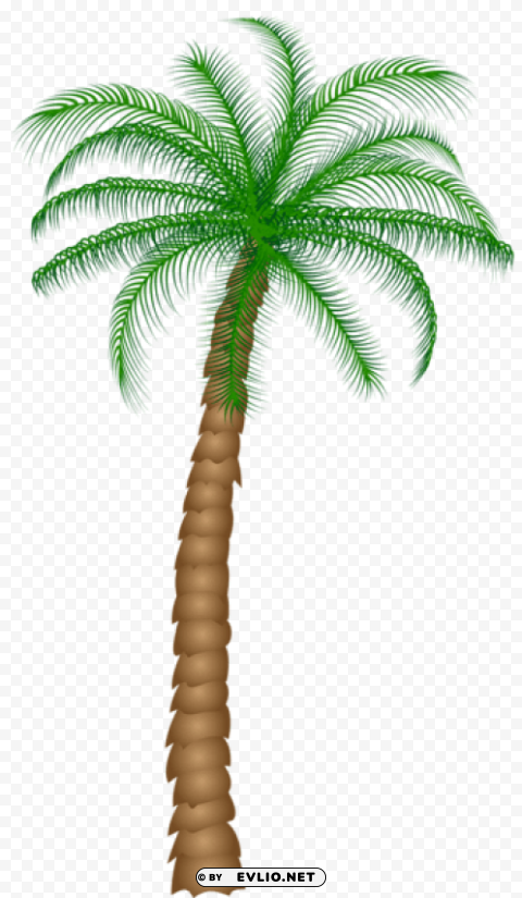 palm tree Isolated Design Element in PNG Format