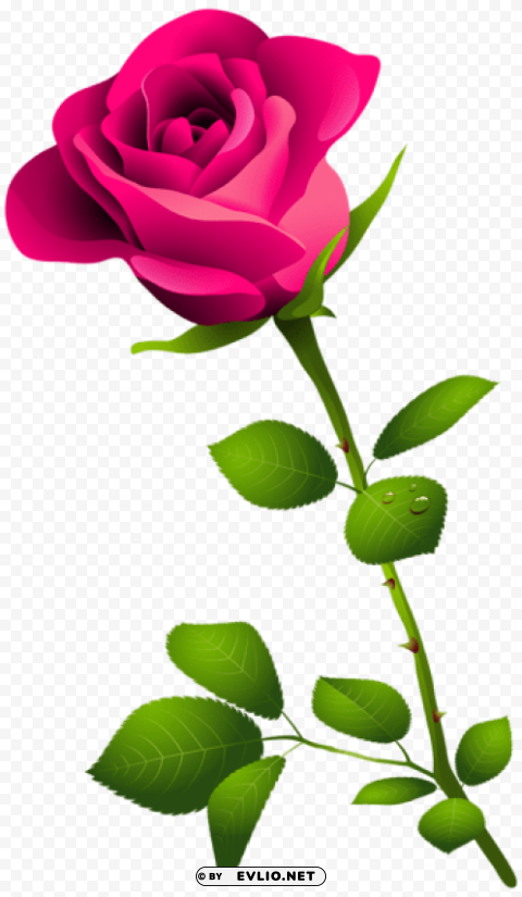 pink rose with stem Free PNG images with alpha transparency comprehensive compilation