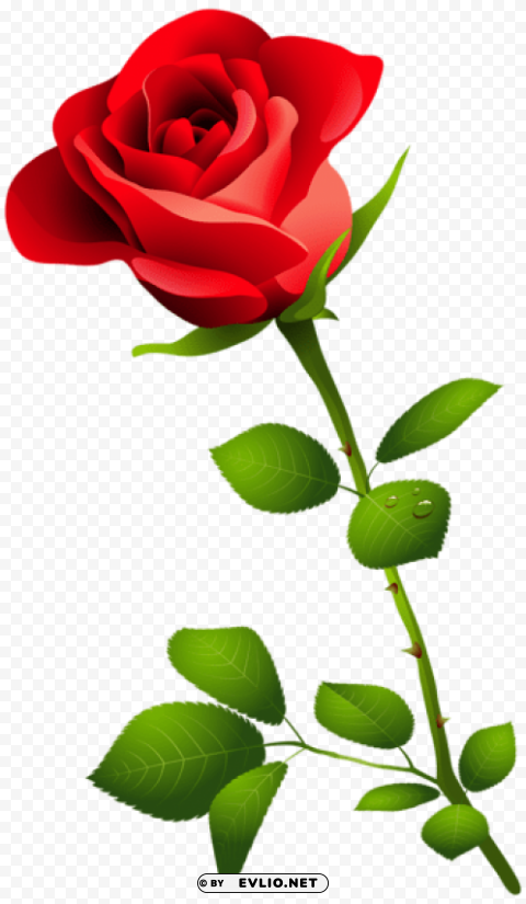 red rose with stem Free PNG images with alpha channel set