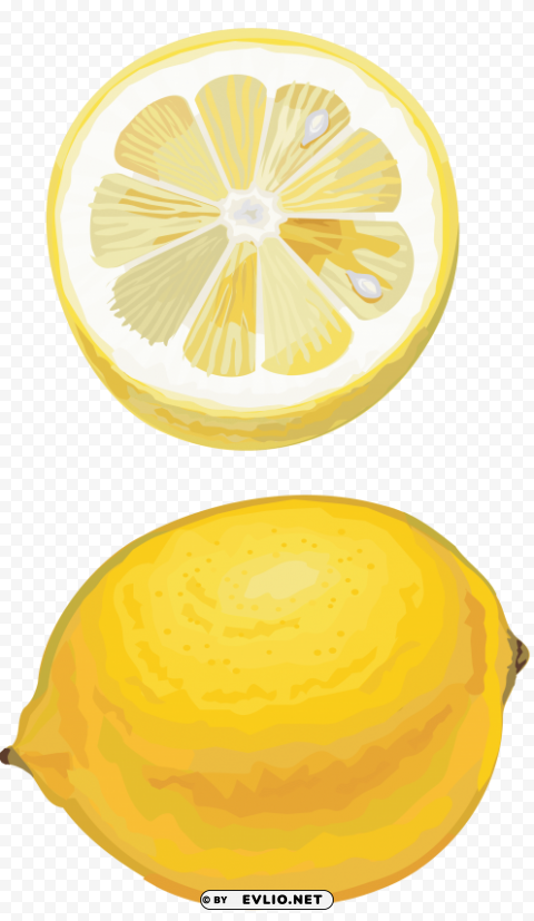 lemon drawing cut Transparent PNG Isolated Subject Matter