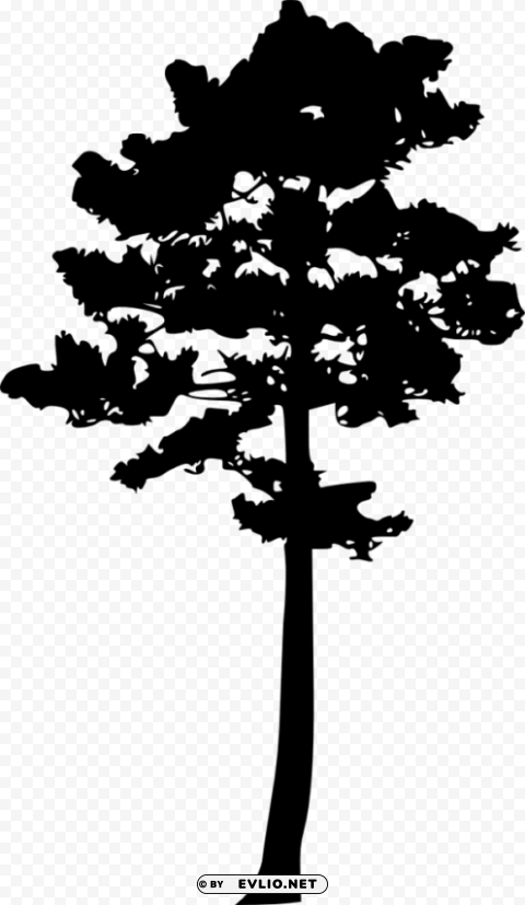 pine tree silhouette Transparent PNG images bulk package
