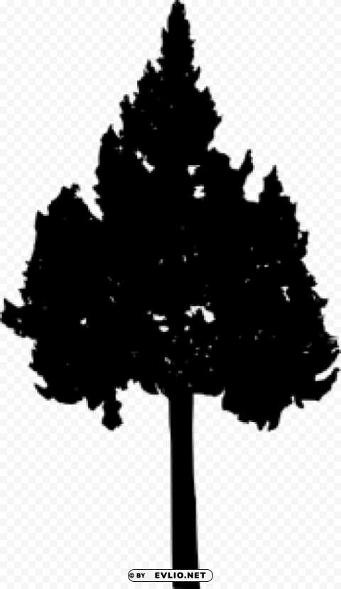 Pine Tree Silhouette PNG with clear overlay