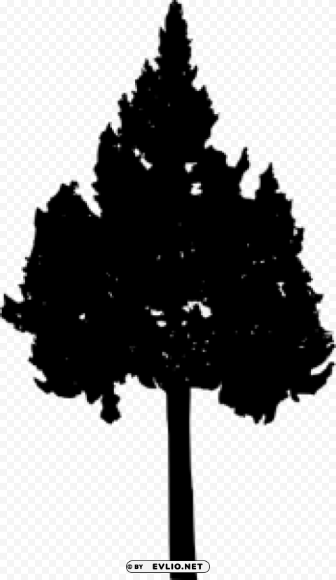 Pine Tree Silhouette PNG With Clear Overlay