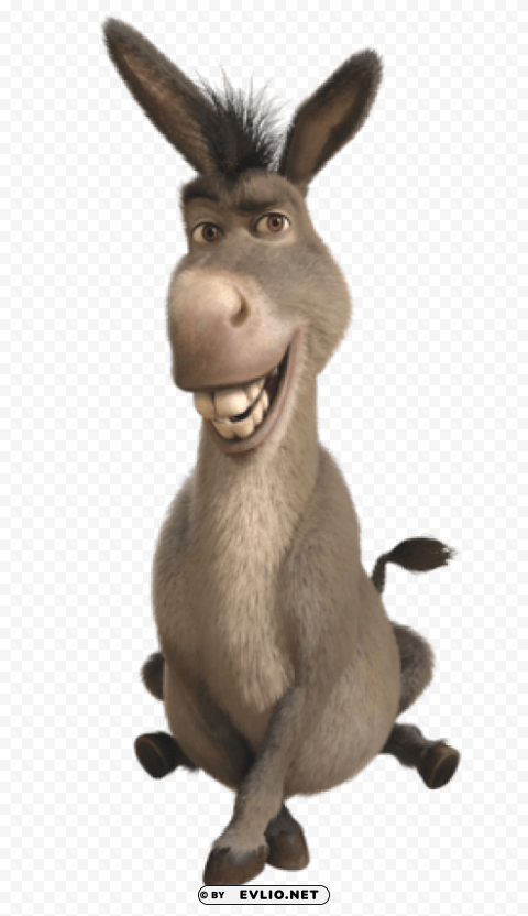 donkey PNG free download png images background - Image ID 38e95661