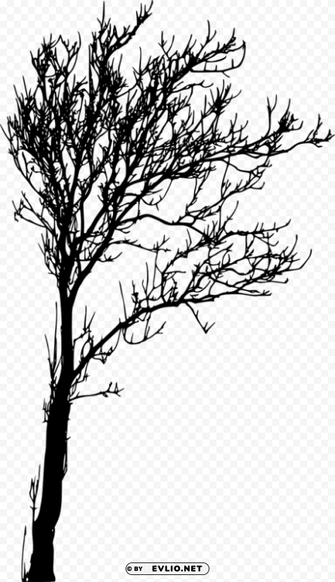 bare tree silhouette Isolated Artwork on Transparent PNG