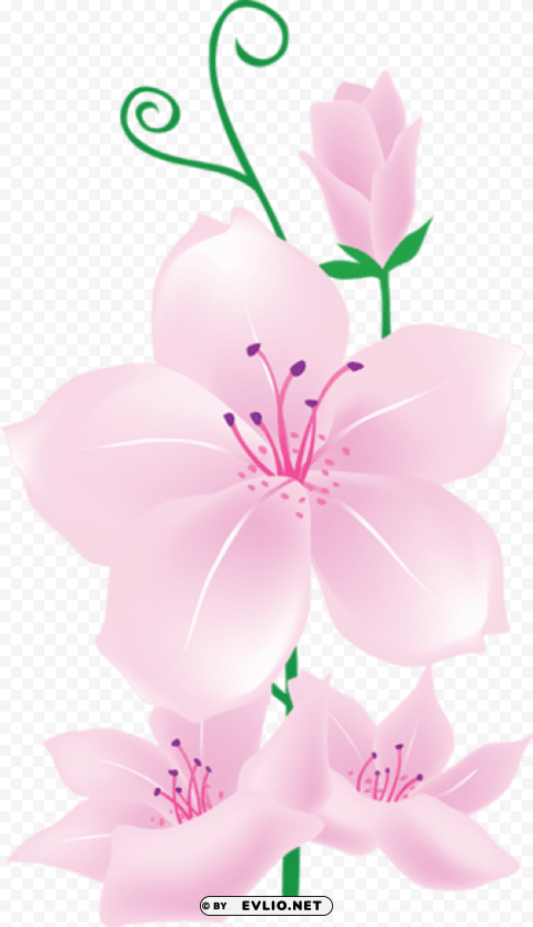 PNG image of light pink flowers Free PNG download with a clear background - Image ID 2a134486