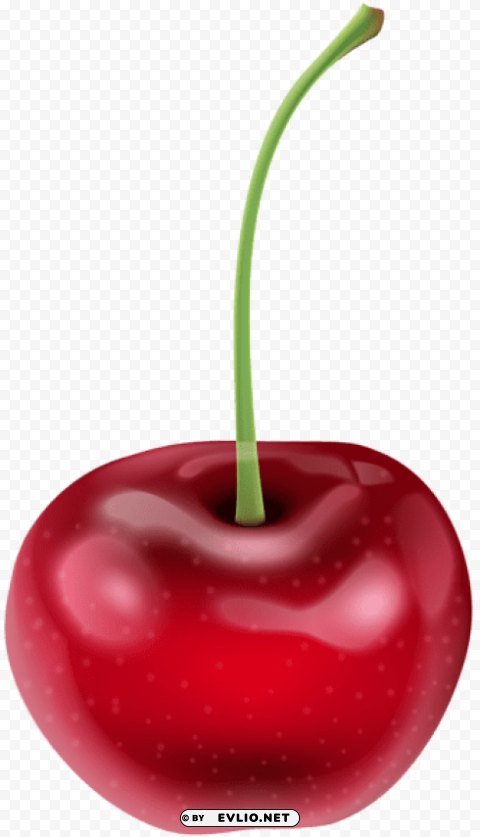 Cherry PNG Transparent Pictures For Projects