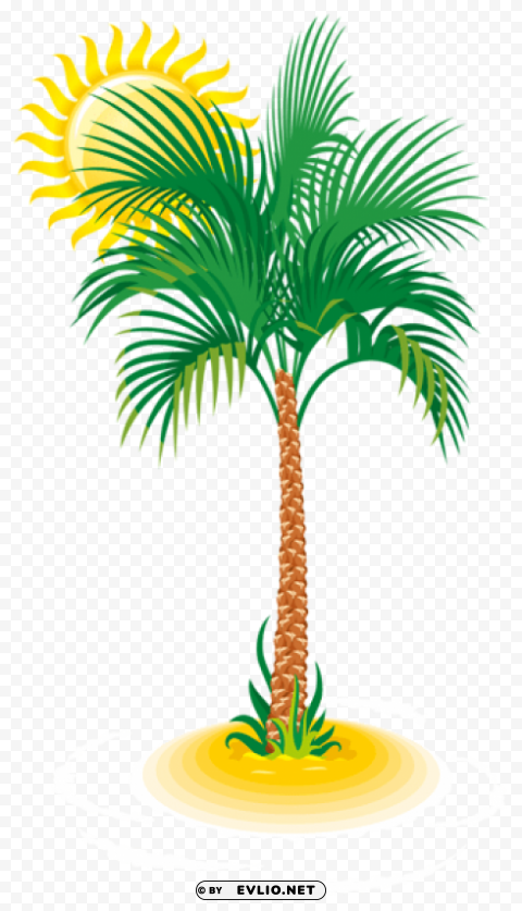 palm and sun PNG files with transparent backdrop