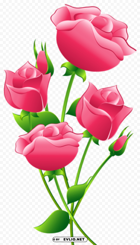 pink roses transparent Isolated Graphic Element in HighResolution PNG