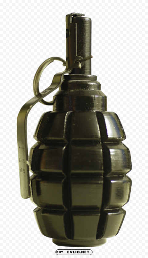 Hand Grenade Clear background PNG graphics