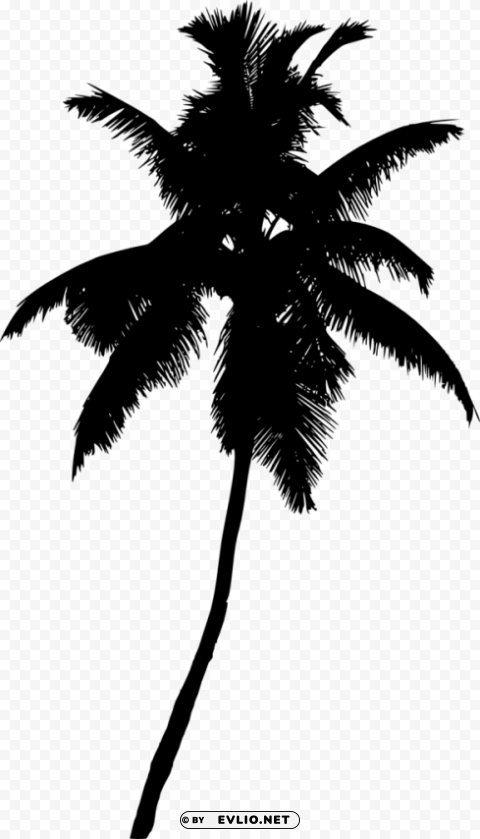Palm Tree Silhouette Clean Background PNG Isolated Art